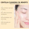 Centella Asiatica Skincare Set: Gentle Cleansing, Moisturizing & Brightening for Long-Lasting Hydrated, Smooth Skin